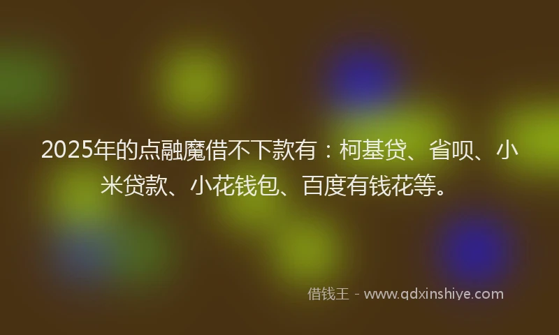 2025年的点融魔借不下款有：柯基贷、省呗、小米贷款、小花钱包、百度有钱花等。