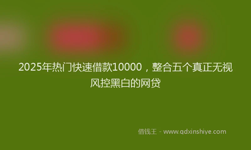 2025年热门快速借款10000，整合五个真正无视风控黑白的网贷