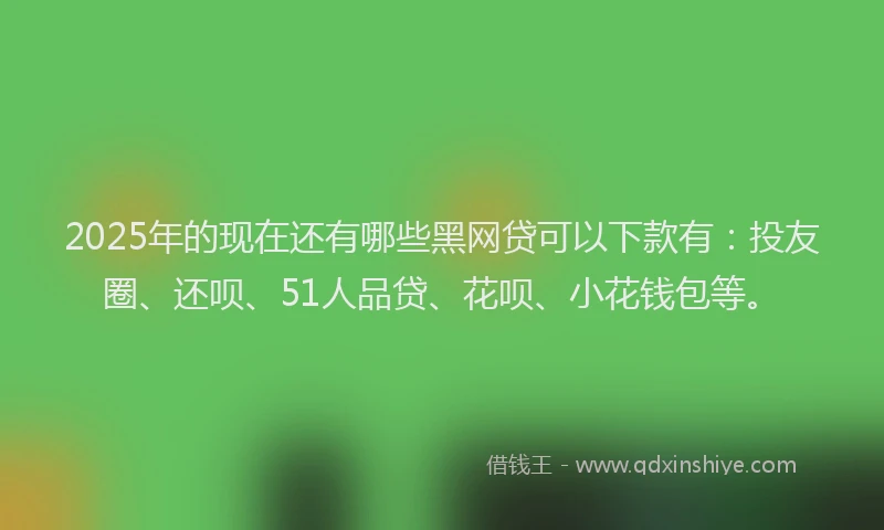 2025年的现在还有哪些黑网贷可以下款有：投友圈、还呗、51人品贷、花呗、小花钱包等。