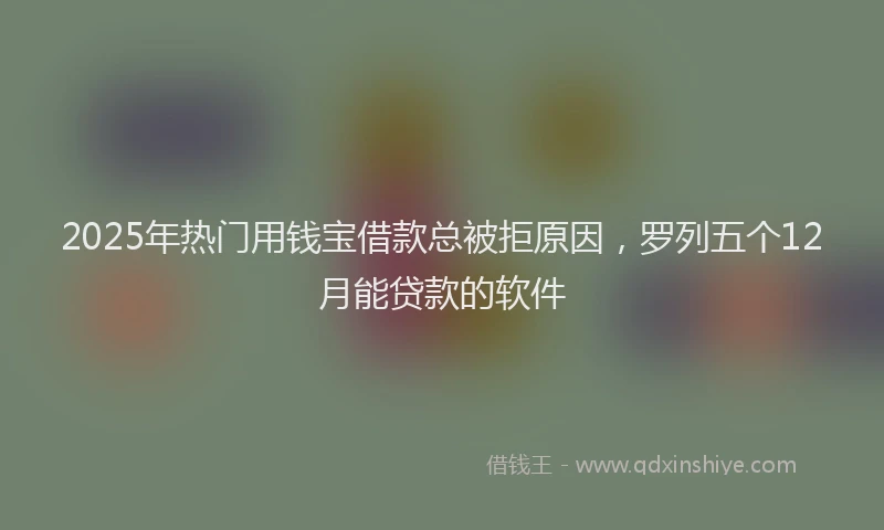 2025年热门用钱宝借款总被拒原因，罗列五个12月能贷款的软件