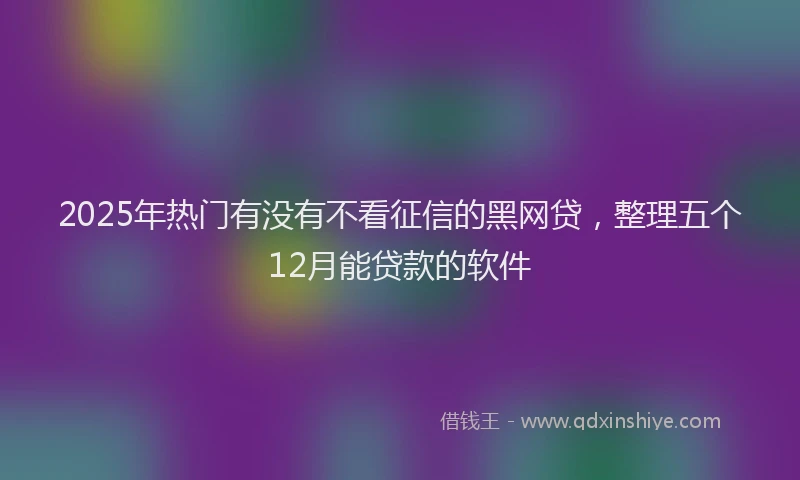 2025年热门有没有不看征信的黑网贷，整理五个12月能贷款的软件