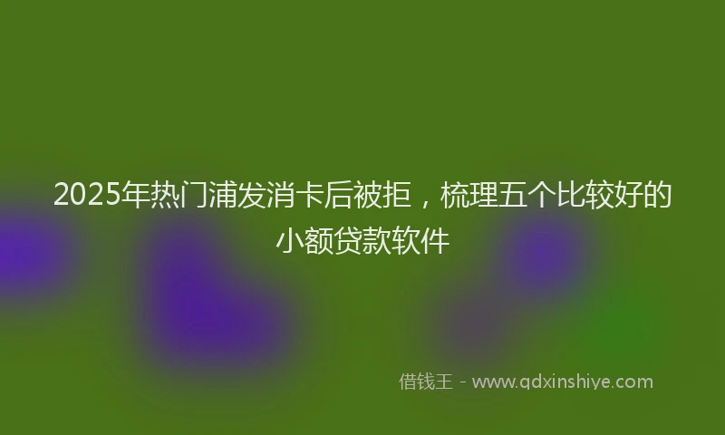 2025年热门浦发消卡后被拒，梳理五个比较好的小额贷款软件