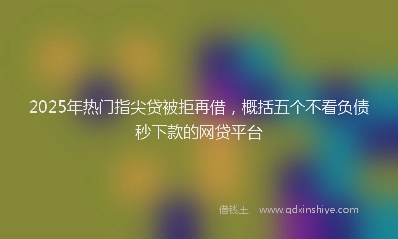 2025年热门指尖贷被拒再借，概括五个不看负债秒下款的网贷平台