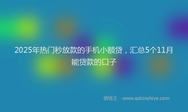 2025年热门秒放款的手机小额贷，汇总5个11月能贷款的口子