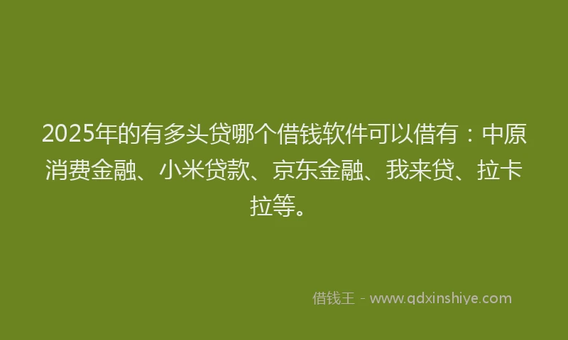 2025年的有多头贷哪个借钱软件可以借有：中原消费金融、小米贷款、京东金融、我来贷、拉卡拉等。