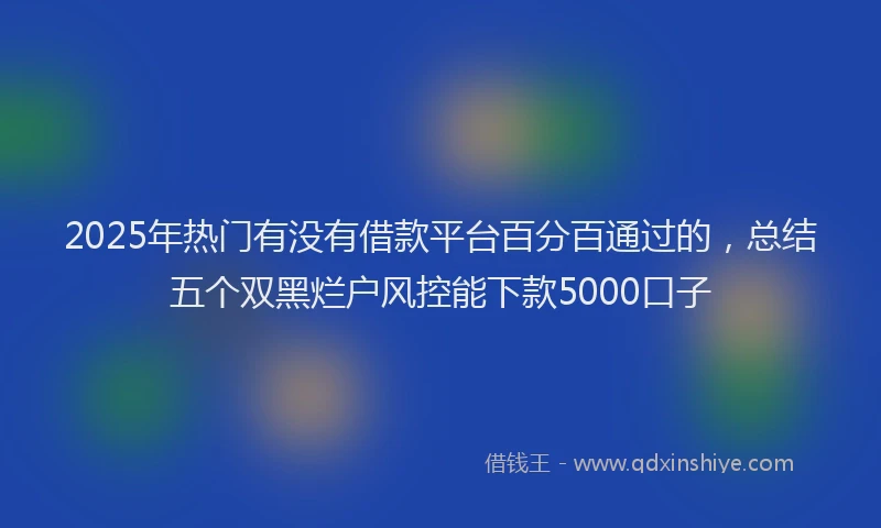 2025年热门有没有借款平台百分百通过的，总结五个双黑烂户风控能下款5000口子