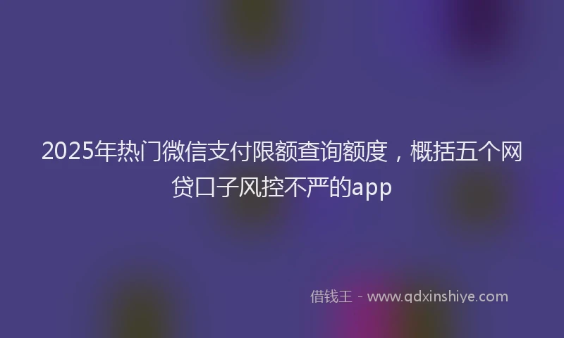 2025年热门微信支付限额查询额度，概括五个网贷口子风控不严的app