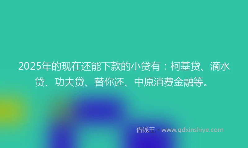 2025年的现在还能下款的小贷有：柯基贷、滴水贷、功夫贷、替你还、中原消费金融等。