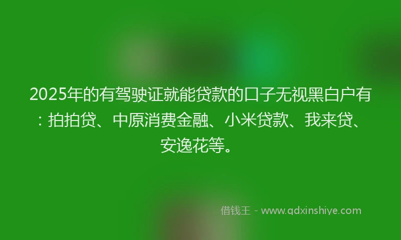 2025年的有驾驶证就能贷款的口子无视黑白户有：拍拍贷、中原消费金融、小米贷款、我来贷、安逸花等。