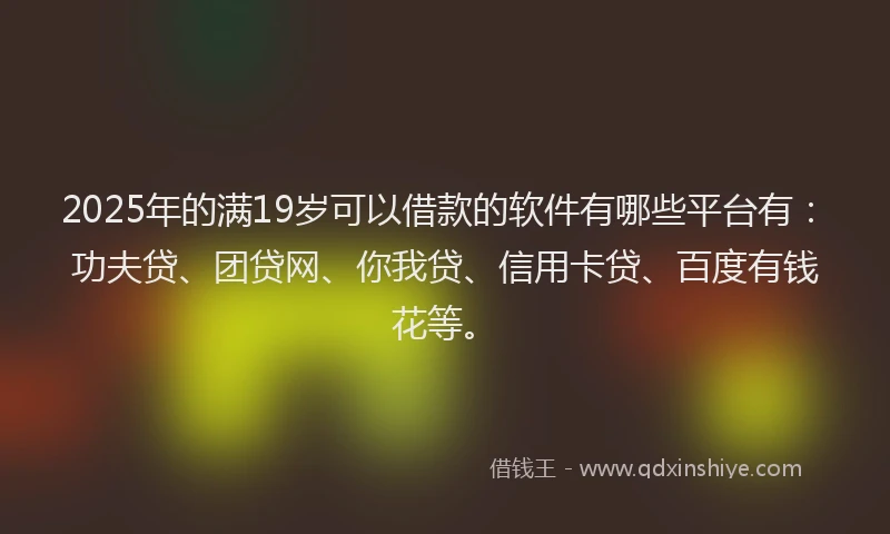 2025年的满19岁可以借款的软件有哪些平台有：功夫贷、团贷网、你我贷、信用卡贷、百度有钱花等。