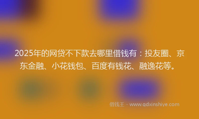 2025年的网贷不下款去哪里借钱有：投友圈、京东金融、小花钱包、百度有钱花、融逸花等。