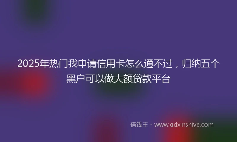 2025年热门我申请信用卡怎么通不过，归纳五个黑户可以做大额贷款平台