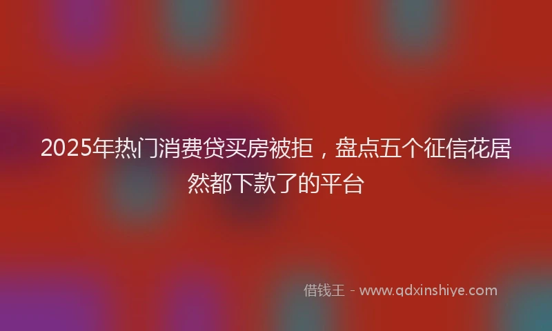 2025年热门消费贷买房被拒，盘点五个征信花居然都下款了的平台