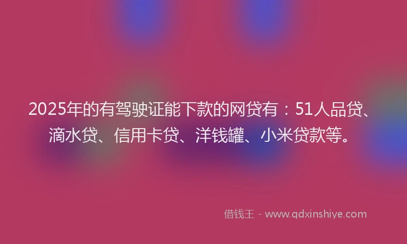 2025年的有驾驶证能下款的网贷有：51人品贷、滴水贷、信用卡贷、洋钱罐、小米贷款等。