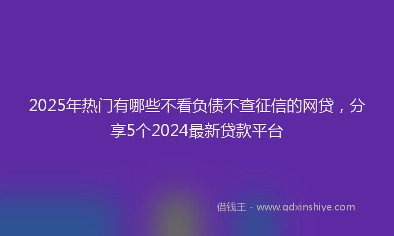 2025年热门有哪些不看负债不查征信的网贷，分享5个2024最新贷款平台