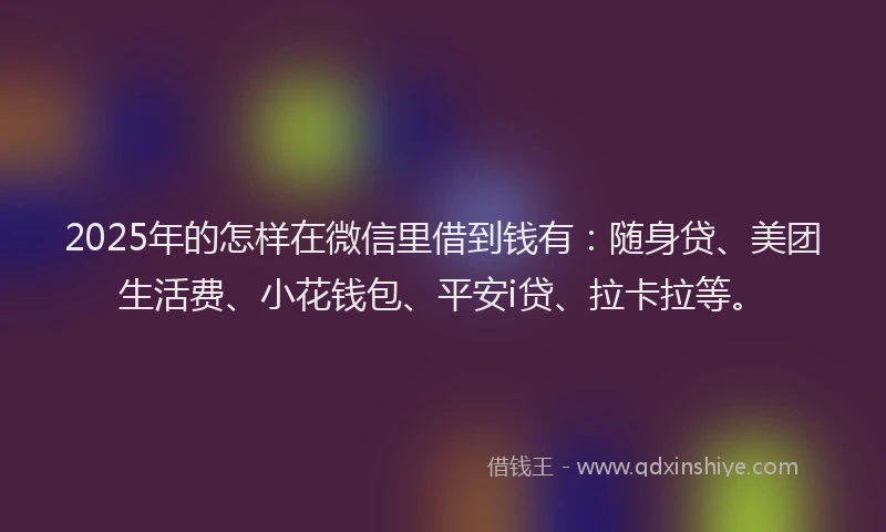 2025年的怎样在微信里借到钱有：随身贷、美团生活费、小花钱包、平安i贷、拉卡拉等。