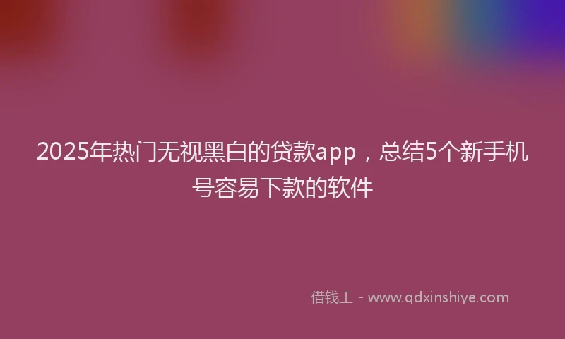 2025年热门无视黑白的贷款app，总结5个新手机号容易下款的软件