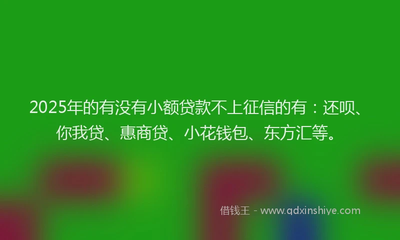 2025年的有没有小额贷款不上征信的有：还呗、你我贷、惠商贷、小花钱包、东方汇等。