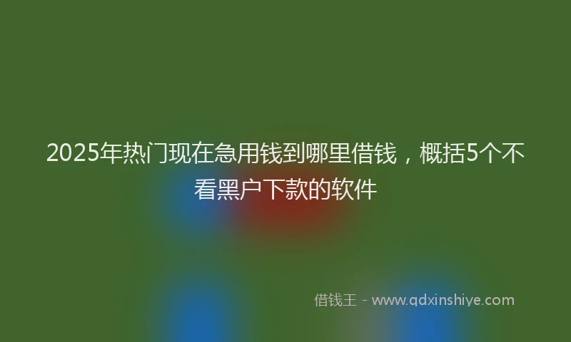 2025年热门现在急用钱到哪里借钱，概括5个不看黑户下款的软件