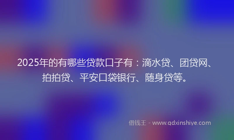 2025年的有哪些贷款口子有：滴水贷、团贷网、拍拍贷、平安口袋银行、随身贷等。