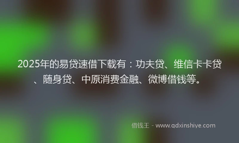 2025年的易贷速借下载有：功夫贷、维信卡卡贷、随身贷、中原消费金融、微博借钱等。