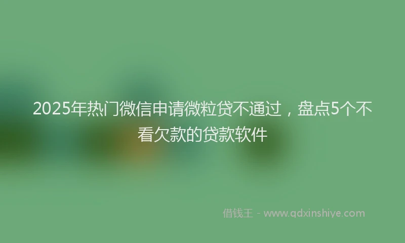 2025年热门微信申请微粒贷不通过，盘点5个不看欠款的贷款软件