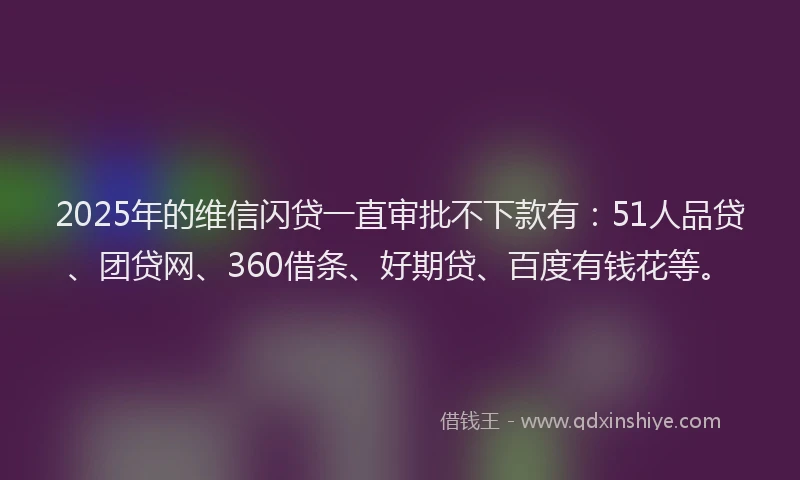 2025年的维信闪贷一直审批不下款有：51人品贷、团贷网、360借条、好期贷、百度有钱花等。