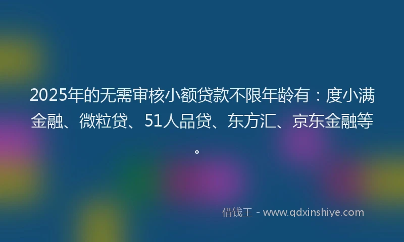 2025年的无需审核小额贷款不限年龄有：度小满金融、微粒贷、51人品贷、东方汇、京东金融等。