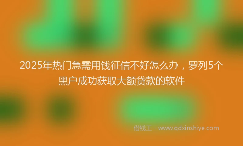 2025年热门急需用钱征信不好怎么办，罗列5个黑户成功获取大额贷款的软件