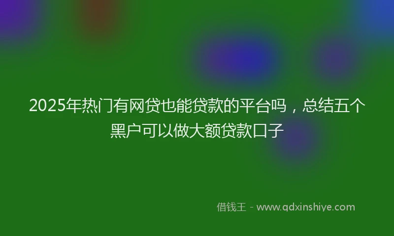 2025年热门有网贷也能贷款的平台吗，总结五个黑户可以做大额贷款口子