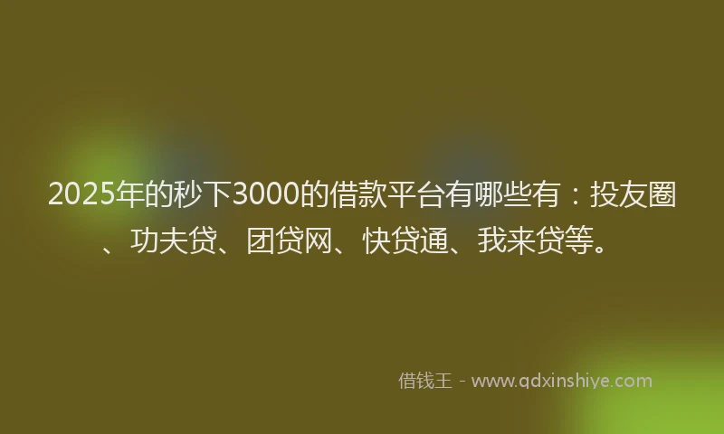 2025年的秒下3000的借款平台有哪些有：投友圈、功夫贷、团贷网、快贷通、我来贷等。