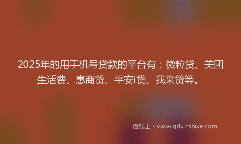 2025年的用手机号贷款的平台有：微粒贷、美团生活费、惠商贷、平安i贷、我来贷等。