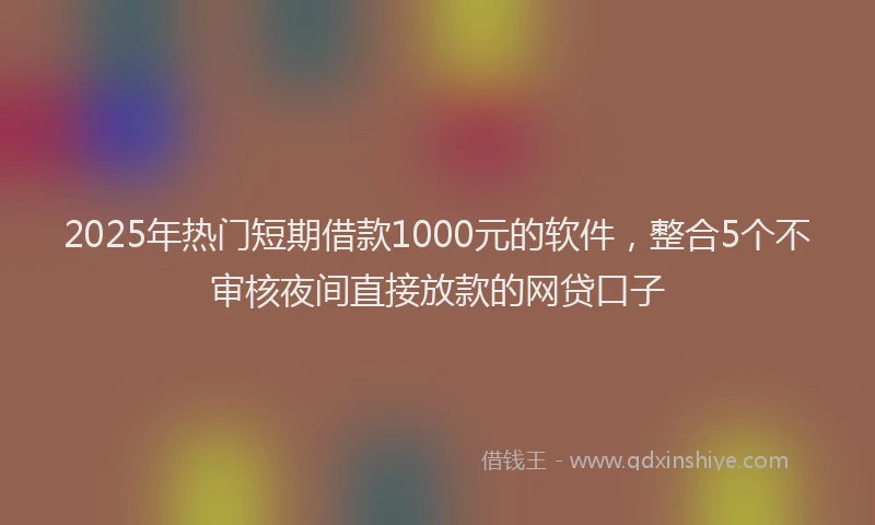 2025年热门短期借款1000元的软件，整合5个不审核夜间直接放款的网贷口子