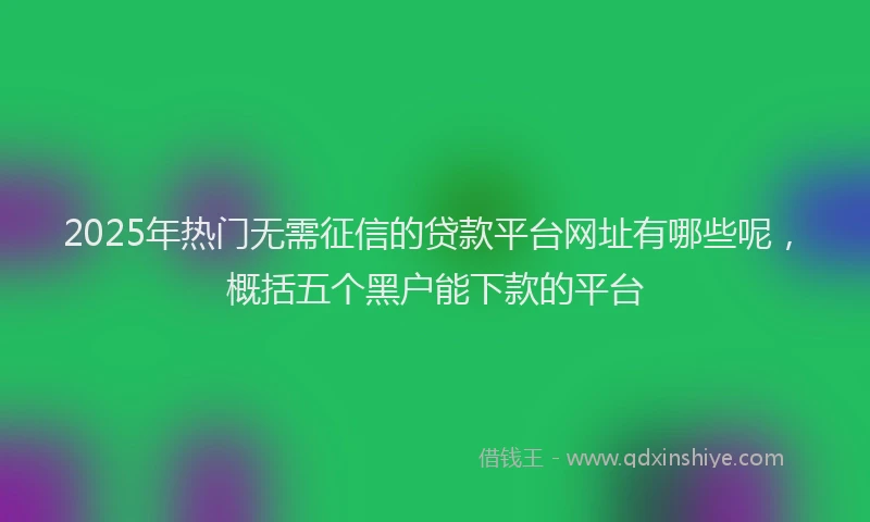 2025年热门无需征信的贷款平台网址有哪些呢，概括五个黑户能下款的平台