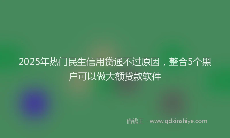 2025年热门民生信用贷通不过原因，整合5个黑户可以做大额贷款软件