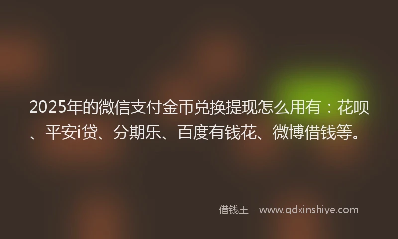 2025年的微信支付金币兑换提现怎么用有：花呗、平安i贷、分期乐、百度有钱花、微博借钱等。