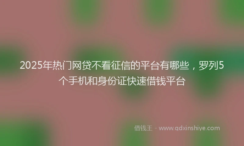 2025年热门网贷不看征信的平台有哪些，罗列5个手机和身份证快速借钱平台