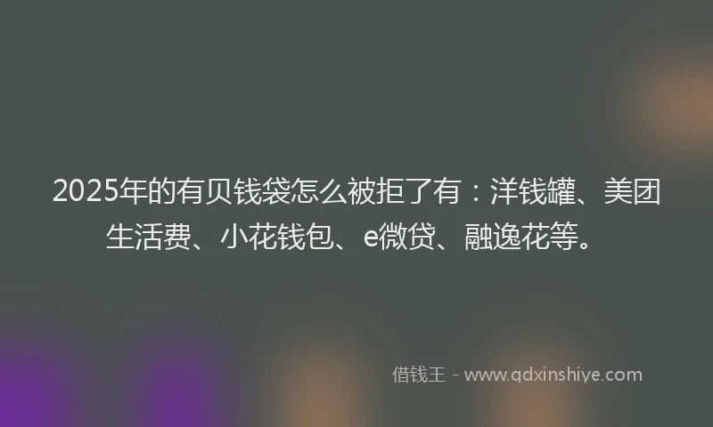 2025年的有贝钱袋怎么被拒了有：洋钱罐、美团生活费、小花钱包、e微贷、融逸花等。