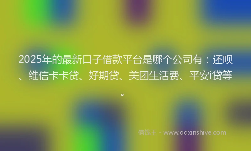 2025年的最新口子借款平台是哪个公司有：还呗、维信卡卡贷、好期贷、美团生活费、平安i贷等。