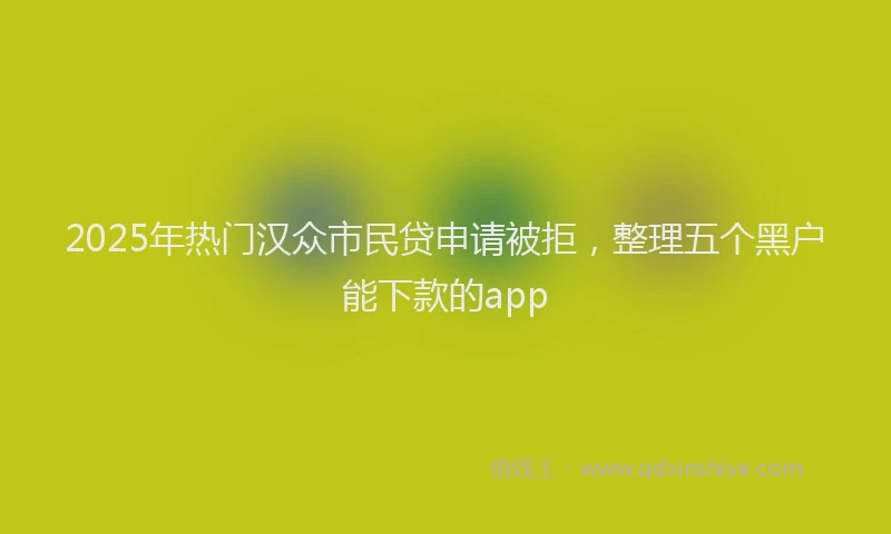 2025年热门汉众市民贷申请被拒，整理五个黑户能下款的app