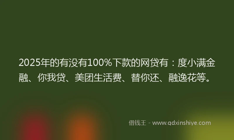 2025年的有没有100%下款的网贷有：度小满金融、你我贷、美团生活费、替你还、融逸花等。