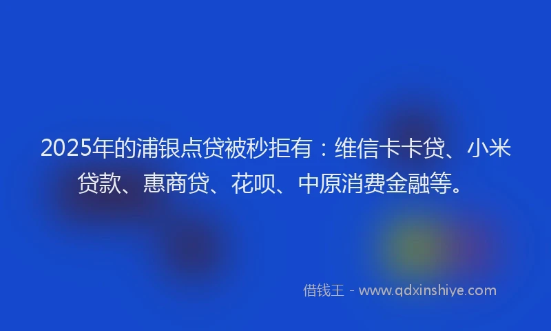 2025年的浦银点贷被秒拒有：维信卡卡贷、小米贷款、惠商贷、花呗、中原消费金融等。