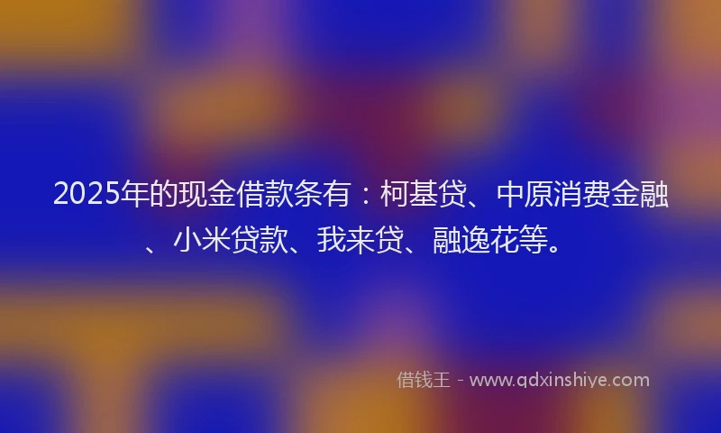 2025年的现金借款条有：柯基贷、中原消费金融、小米贷款、我来贷、融逸花等。