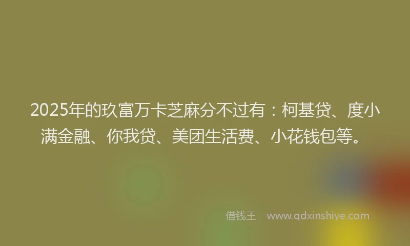 2025年的玖富万卡芝麻分不过有：柯基贷、度小满金融、你我贷、美团生活费、小花钱包等。
