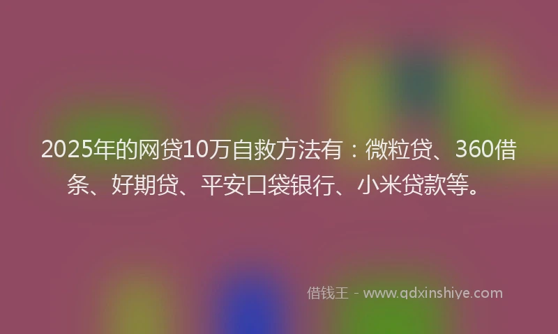 2025年的网贷10万自救方法有：微粒贷、360借条、好期贷、平安口袋银行、小米贷款等。