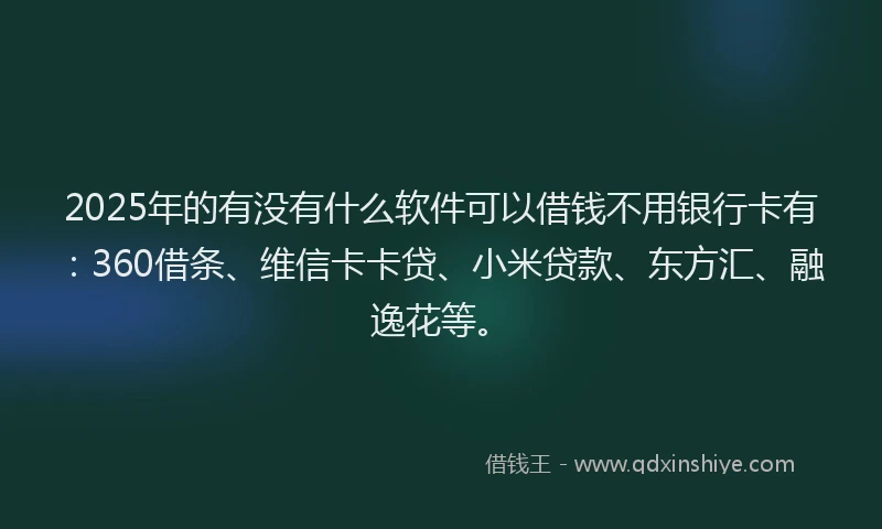 2025年的有没有什么软件可以借钱不用银行卡有：360借条、维信卡卡贷、小米贷款、东方汇、融逸花等。