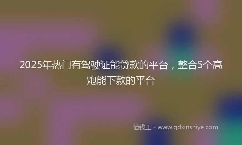 2025年热门有驾驶证能贷款的平台，整合5个高炮能下款的平台