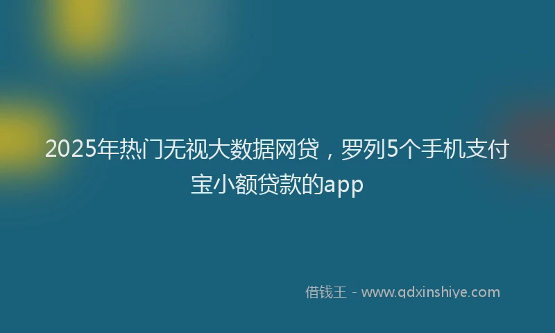 2025年热门无视大数据网贷，罗列5个手机支付宝小额贷款的app