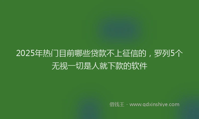 2025年热门目前哪些贷款不上征信的，罗列5个无视一切是人就下款的软件