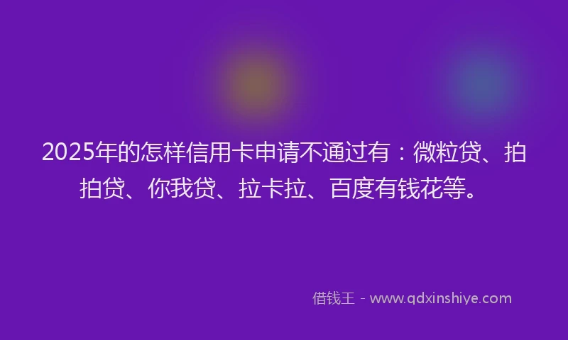 2025年的怎样信用卡申请不通过有：微粒贷、拍拍贷、你我贷、拉卡拉、百度有钱花等。